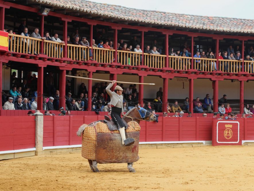 LISTA DE ADMITIDOS EN EL BOLSIN TIERRAS DE ZAMORA 2017