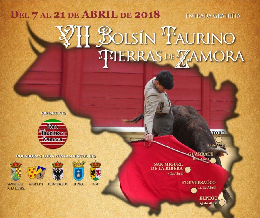 Cartel del bolsin