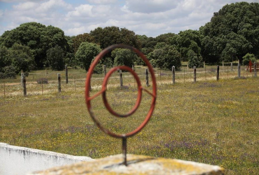 VISITA DE LOS MIEMBROS DEL FORO TAURINO DE ZAMORA A LA GANADERÍA "MONTALVO"