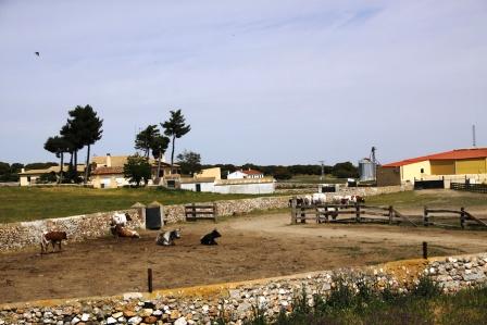 Fotografía de la finca